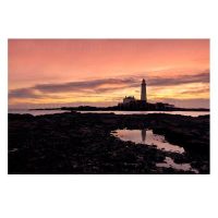 St Mary's Lighthouse Photo Print by Daniel Dent