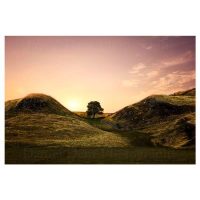 Sycamore Gap at Hadrian's Wall Photo Print by Daniel Dent