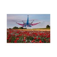 Sunderland Red Arrows Print
