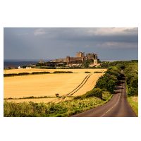 Photo Card Bamburgh Castle Corn Fields
